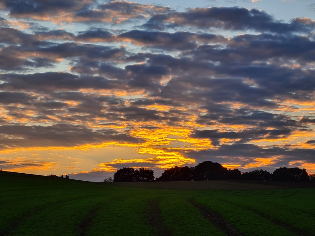 Gleiche Fehler wie&nbsp;gestern