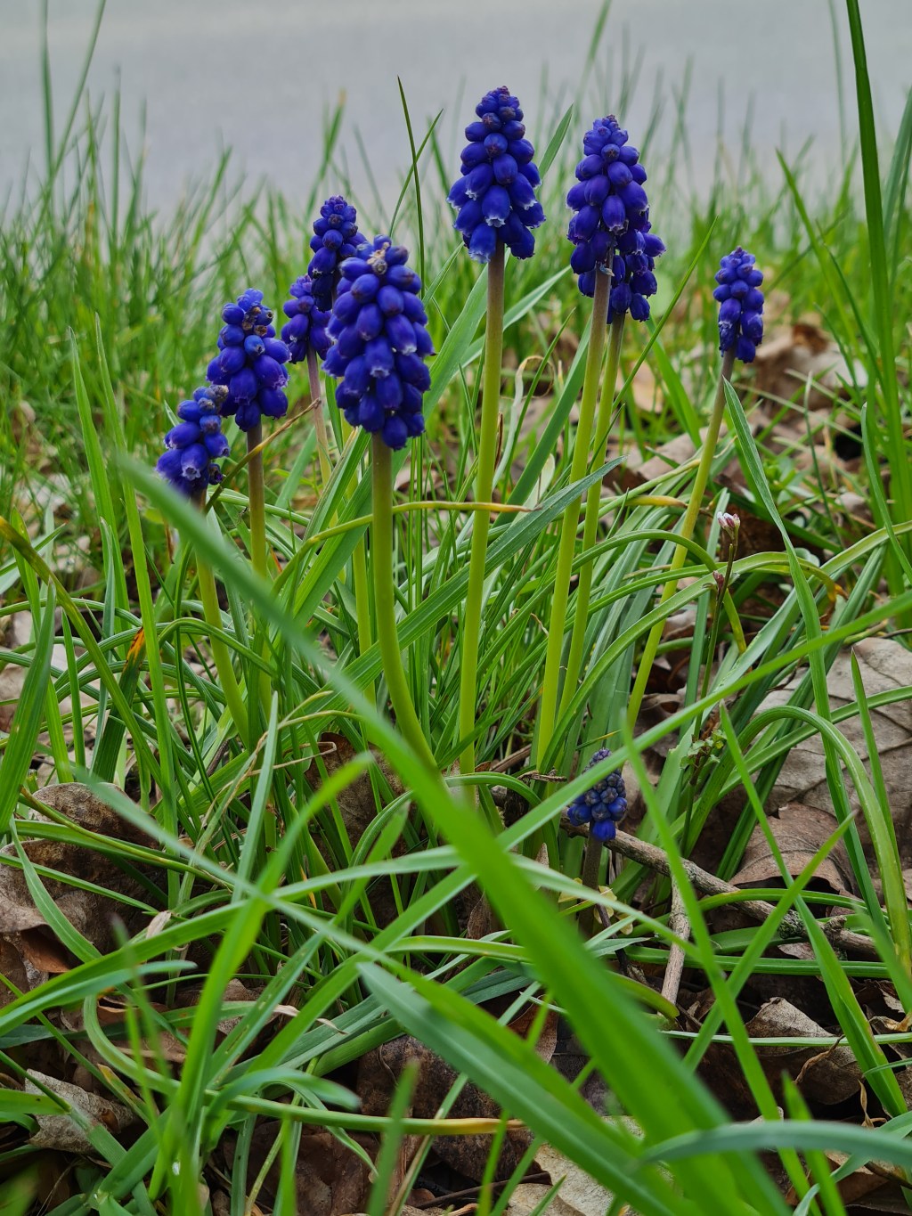 Ziemlich viel geschafft!