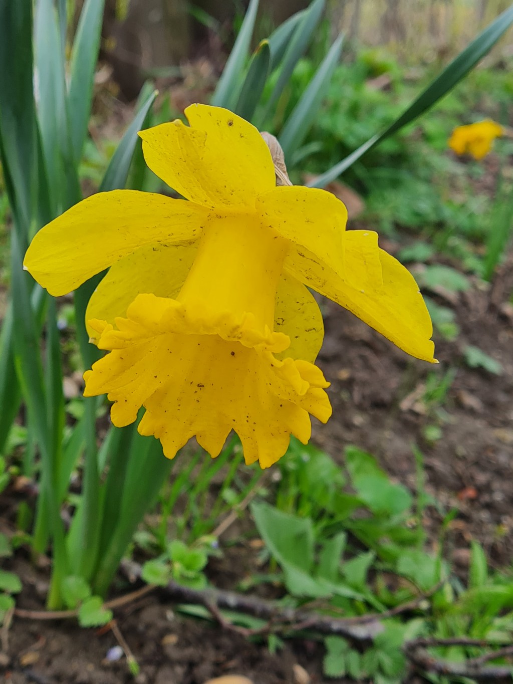 HEUTE LIEFS GANZ&nbsp;GUT!